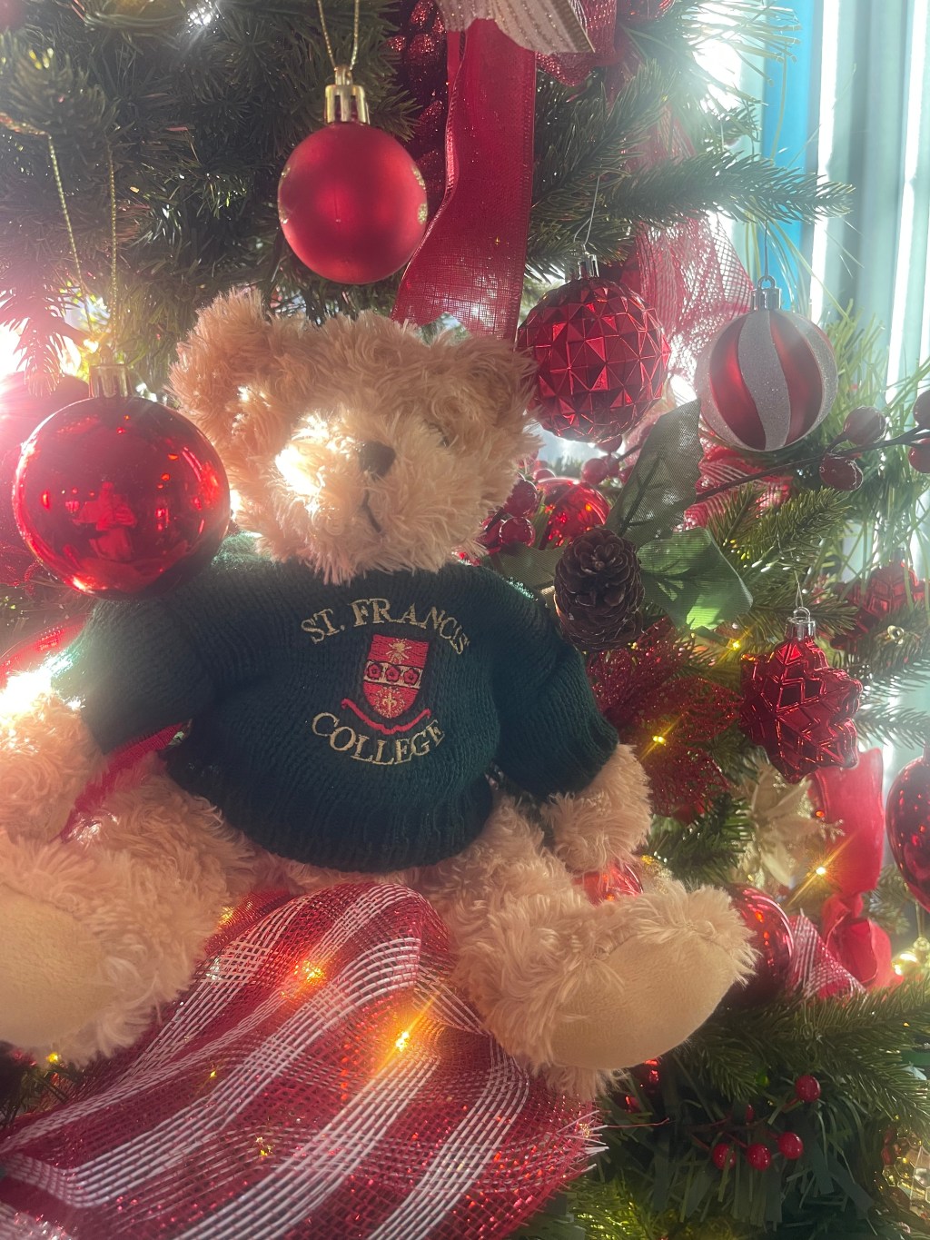 Boardington Bear Adventures: Birthdays, Baubles and Brilliant Performances