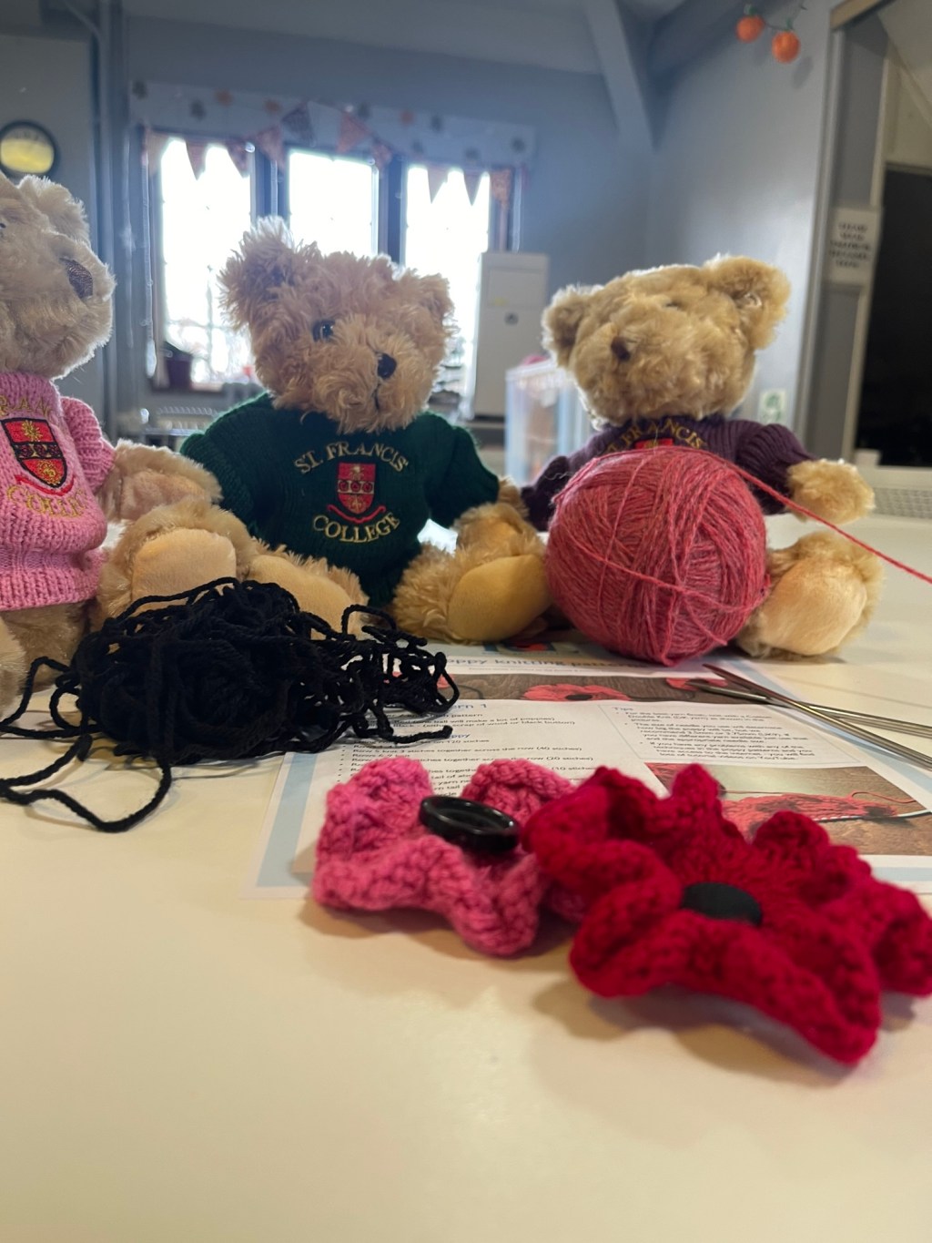 Boardington Bear Adventures: A Week of Paws, Poppies &&nbsp;Positivity