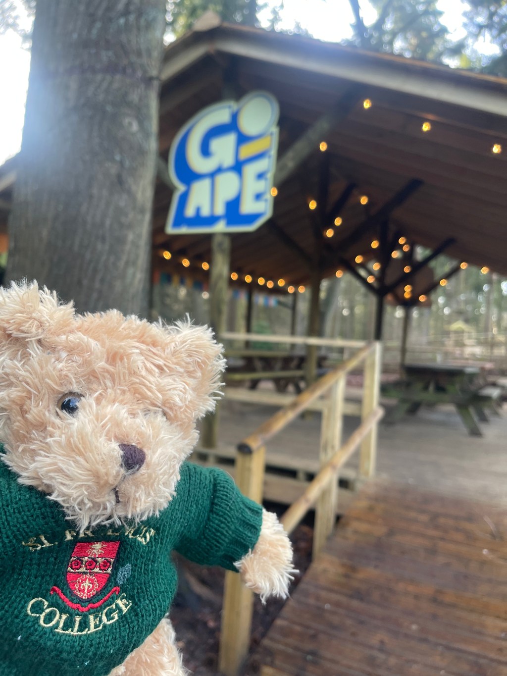 Boardington Bear Adventures: Ropes, Rambles and a Returned&nbsp;Bear