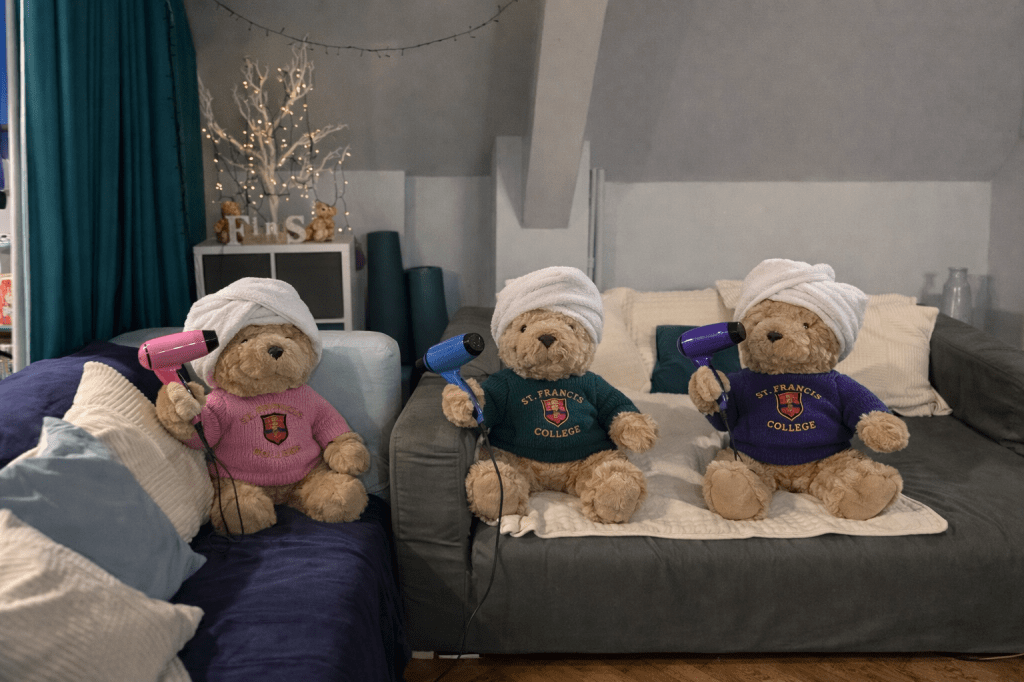 Boardington Bear Adventures: Baking, Blow dries and Best Behaviour