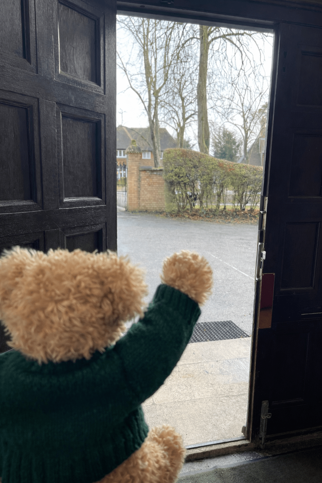 Boardington Bear Adventures: Kindness, Cakes and Cosy Comforts