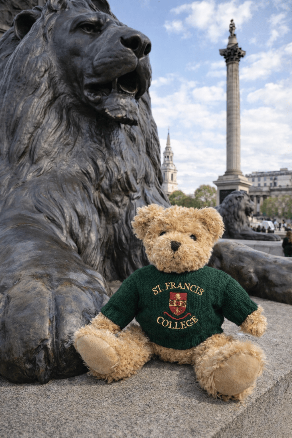 Boardington Bear Adventures: Sleep, Sights and Special Celebrations